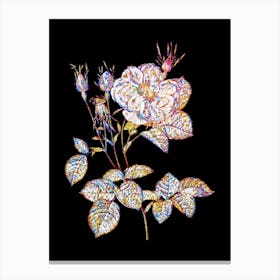 Stained Glass White Rose of York Mosaic Botanical Illustration on Black n.0262 Canvas Print