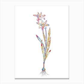 Stained Glass Ixia Liliago Mosaic Botanical Illustration on White n.0290 Canvas Print