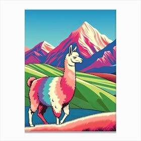 Llama Canvas Print