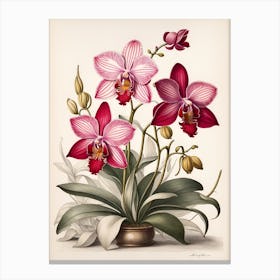 Orchids In A Vase 1 Canvas Print