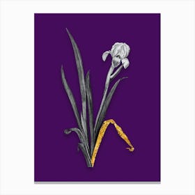 Vintage Crimean Iris Black and White Gold Leaf Floral Art on Deep Violet n.1215 Canvas Print