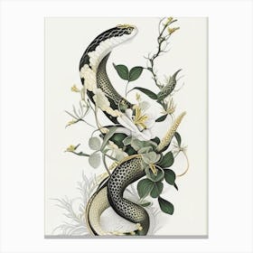 Greater Green Snake Gold And Black Canvas Print