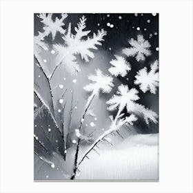 Frost, Snowflakes, Black & White 5 Canvas Print