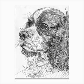 Cavalier King Charles Dog Line Sketch Dog Line Drawing Sketch 1 Canvas Print