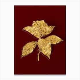 Vintage French Hydrangea Botanical in Gold on Red n.0225 Canvas Print