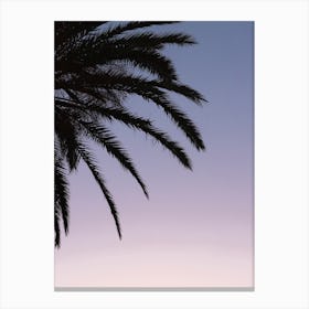 Palm On Pink And Purple Sky Canvas Print