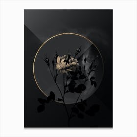 Shadowy Vintage Anemone Sweetbriar Rose Botanical in Black and Gold Canvas Print