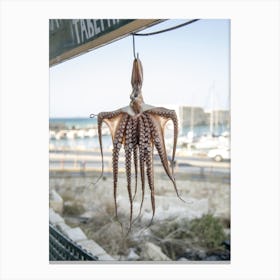 Dried Octopus Hanging Outdoors Canvas Print