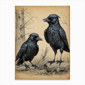 Crows Canvas Print