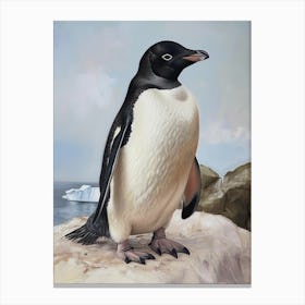 Adlie Penguin Saunders Island Oil Painting 4 Canvas Print