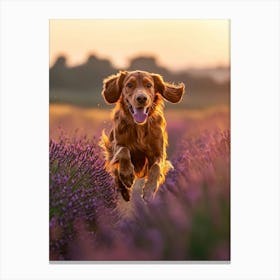 Dog Running Through Lavender Field. Generated AI. Art Print 1 Canvas Print