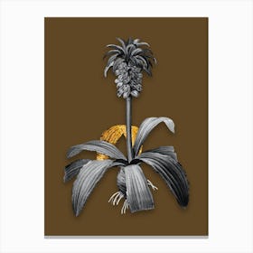 Vintage Eucomis Regia Black and White Gold Leaf Floral Art on Coffee Brown n.0925 Canvas Print