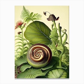 Brown Garden Snail Botanical Canvas Print