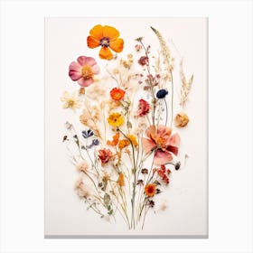 Pressed Flower Botanical Art Wildflowers 4 Canvas Print