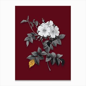 Vintage White Rosebush Black and White Gold Leaf Floral Art on Burgundy Red n.0758 Canvas Print