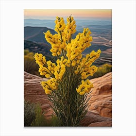 Yellow Lupine Flowers Canvas Print