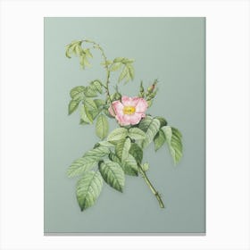 Vintage Apple Rose Botanical Art on Mint Green n.0842 Canvas Print