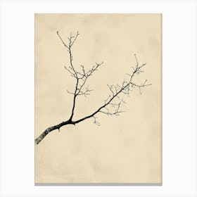 Shanghai Flower Market Boho Minimalist Style Canvas Print