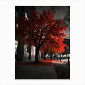 Red Leaves On A Tree Canvas Print