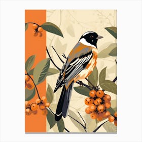 Robin On A Branch Canvas Print