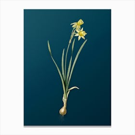 Vintage Narcissus Calathinus Botanical Art on Teal Blue n.0354 Canvas Print