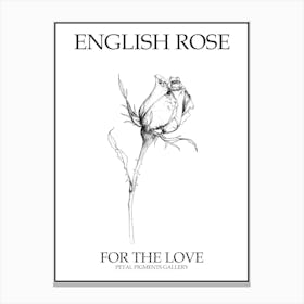 English Rose Black And White Line Drawing 6 Poster Canvas Print