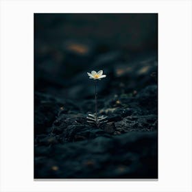 Single White Flower 7 Canvas Print