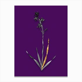 Vintage Bugle Lily Black and White Gold Leaf Floral Art on Deep Violet n.0420 Canvas Print