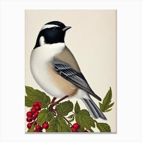 Carolina Chickadee James Audubon Vintage Style Bird Canvas Print