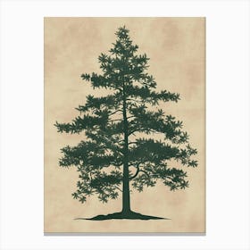 Hemlock Tree Minimal Japandi Illustration 3 Canvas Print