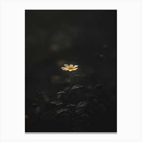 Dark Flower 12 Canvas Print