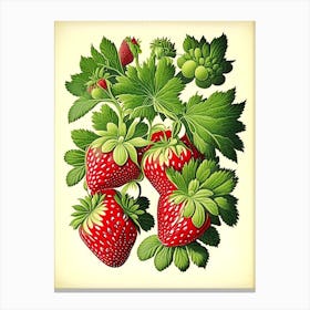 June Bearing Strawberries, Plant, Vintage Botanical Canvas Print