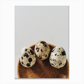 Quail Eggs 33 Canvas Print