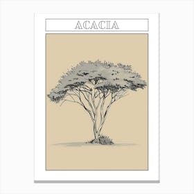 Acacia Tree Minimalistic Drawing 2 Poster Canvas Print