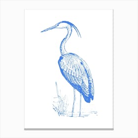 Heron 4 Canvas Print