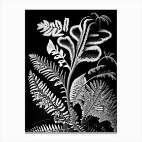 Tripinnatifid Spleenwort Linocut Canvas Print