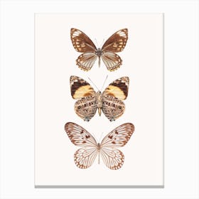 Butterflies VI Canvas Print