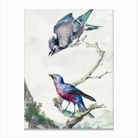 Vintage Bird Art Print_2835720 Canvas Print