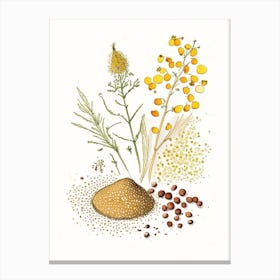 Mustard Seeds Spices And Herbs Pencil Illustration 6 Canvas Print