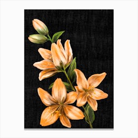 Lily flower 1 Canvas Print