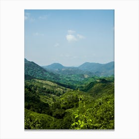 View Of The Tea Plantations Canvas Print