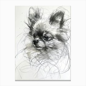 Pomeranian Dog Charcoal Line 1 Canvas Print