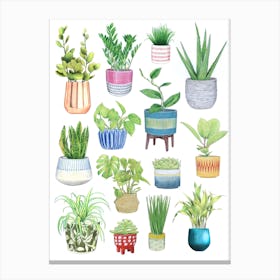 Houseplants Canvas Print