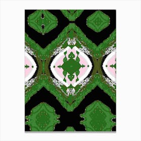 Kaleidoscope 10 Canvas Print