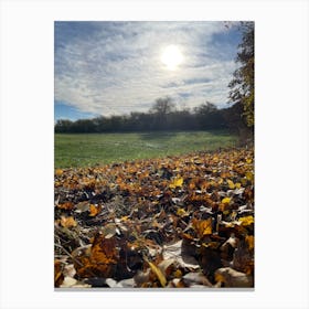 Autumn Leaves In A Field Canvas Print