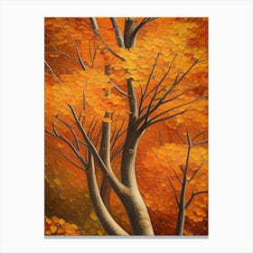 Autumn Trees Canvas Print