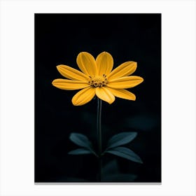 Single Yellow Flower 8 Canvas Print