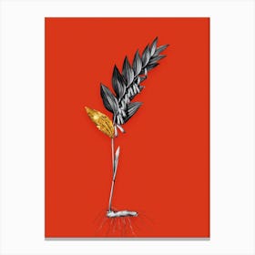 Vintage Angular Solomons Seal Black and White Gold Leaf Floral Art on Tomato Red n.0190 Canvas Print