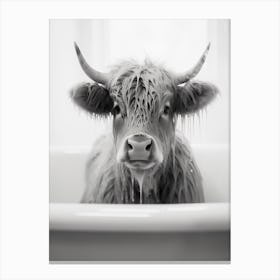 Cow In A Bath Canvas Print