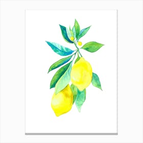 Watercolor Lemons On A Branch Canvas Print